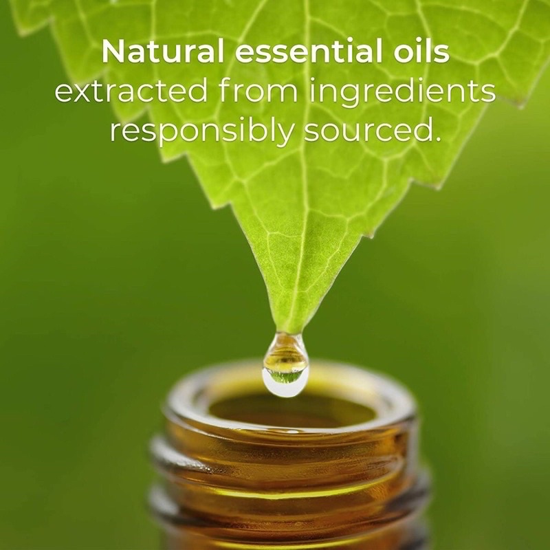 Bộ Xông Tinh Dầu Thơm Phòng Botanica By Airwick French Lavender & Honney Blossom