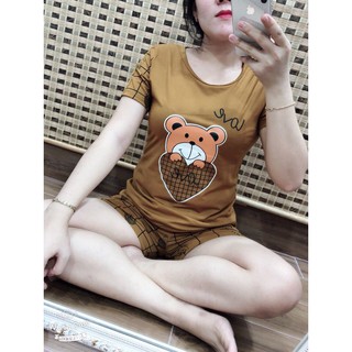Đồ bộ thun cotton 99% phối đùi