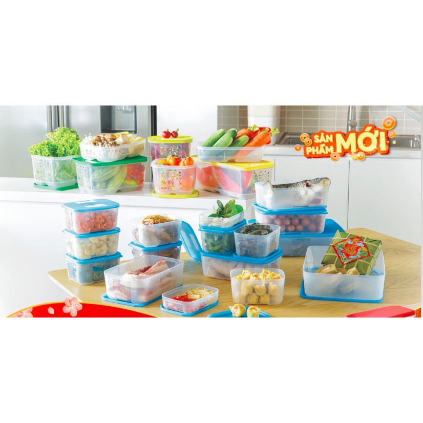 Set 23 : 16 hộp trữ đông và 7 hộp rau trữ mát Tupperware