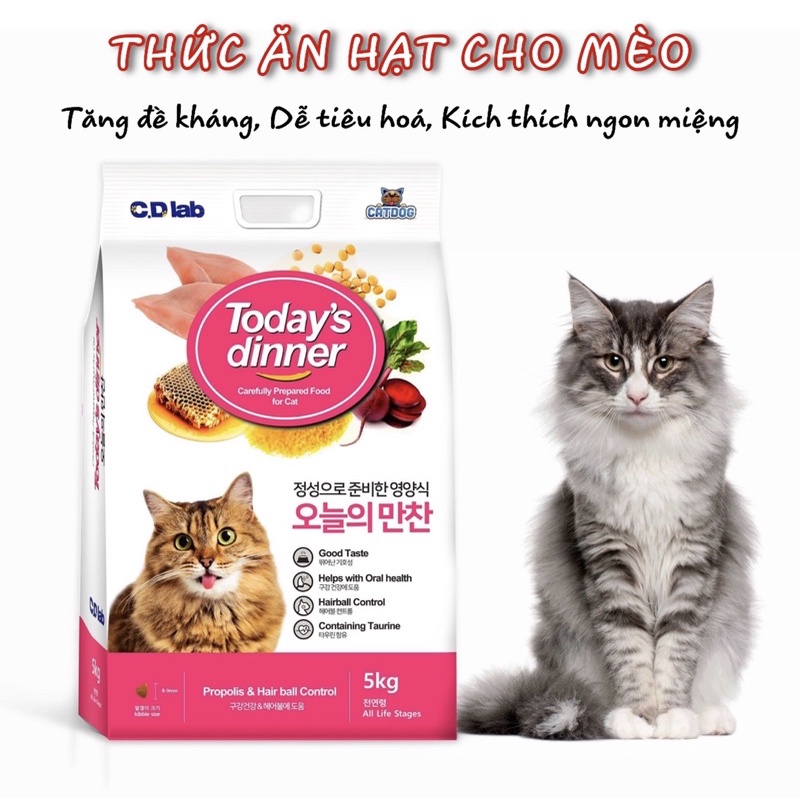 5KG THỨC ĂN HẠT CHO MÈO TODAY DINNER - Thơm ngon, dễ tiêu hoá, đầy đủ dưỡng chất