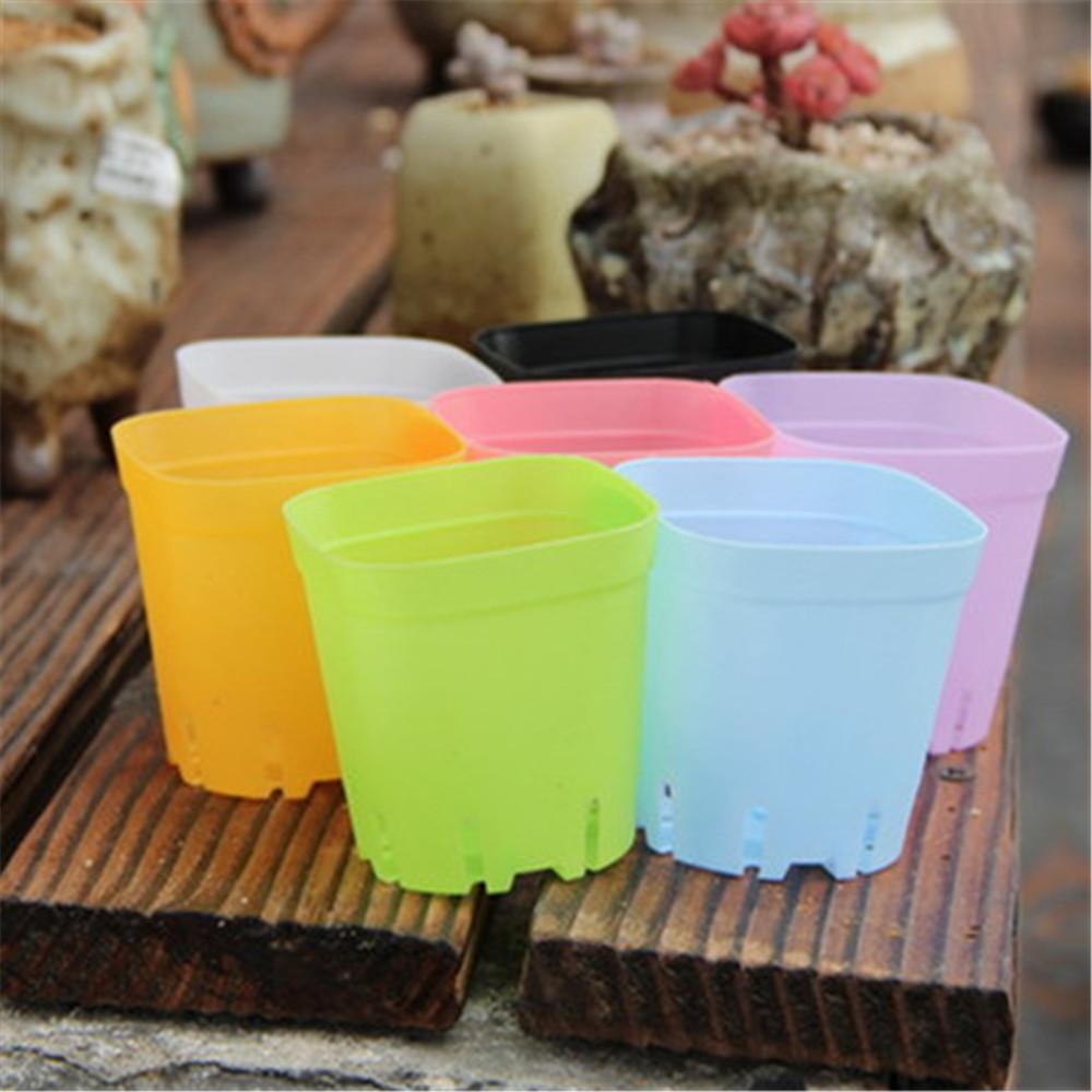 Set 1 / 10 Chậu Hoa Mini Màu Sắc Ngẫu Nhiên