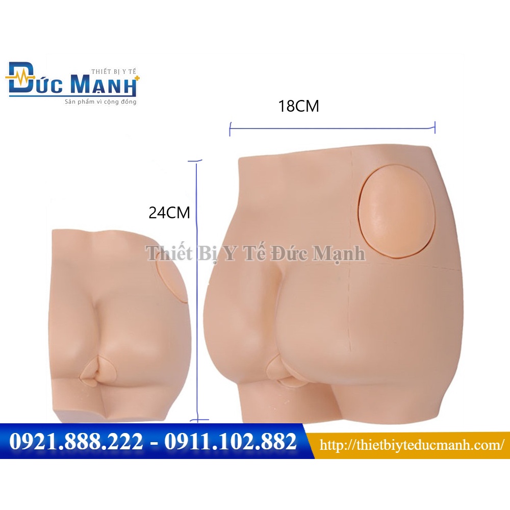 Mô hình tiêm mông kèm thụt tháo