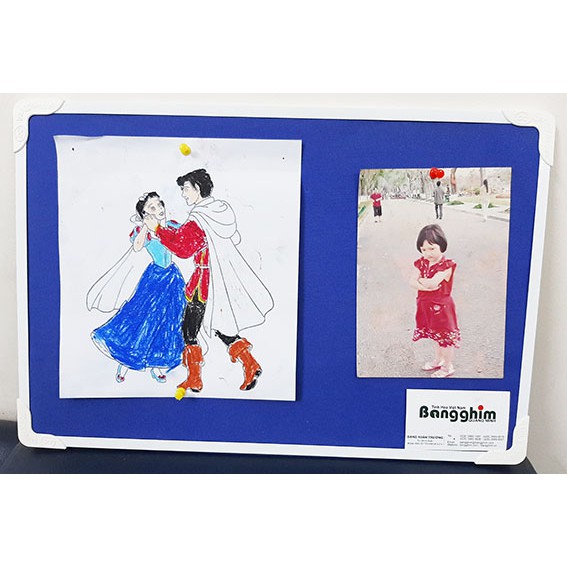 Bảng ghim thông báo giá rẻ, KT 30x45cm