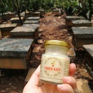Sữa ong chúa tươi 100ml