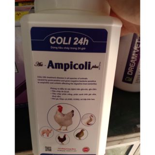 Thuốc thú y-Coli 24h