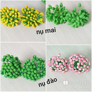 1 bó nụ mai , nụ đào
