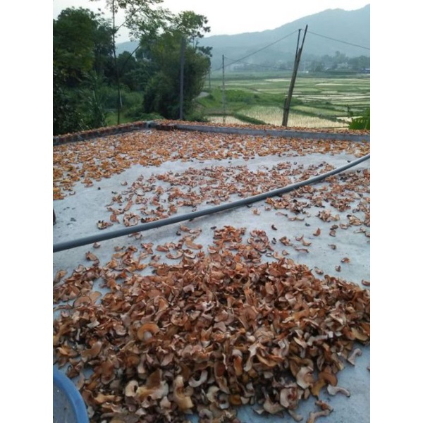 Quả tai chua phơi khô tự nhiên 100g