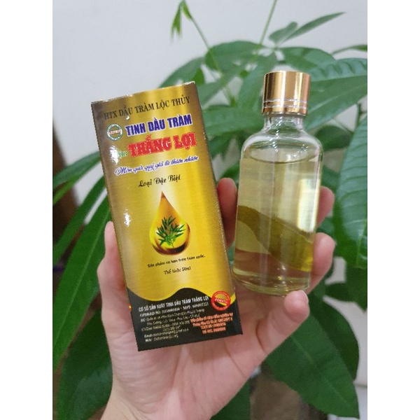 TINH DẦU TRÀM THẮNG LỢI - lọ 50ml