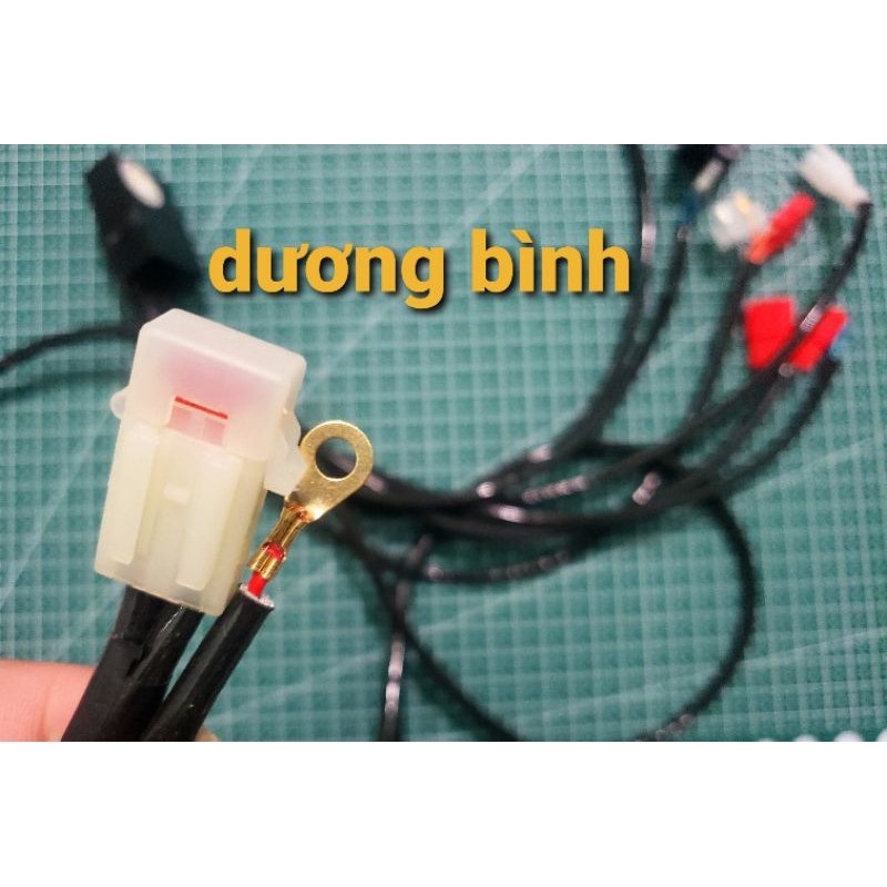 Mạch Auto Passing mọi dòng xe