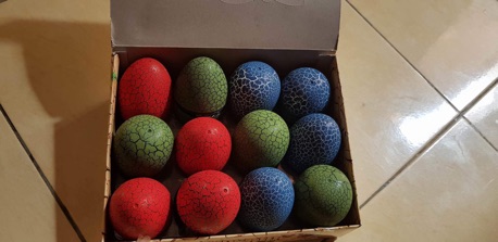 Trứng khủng long có cánh