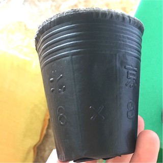 - 1kg túi bầu ươm cây các size nhập.