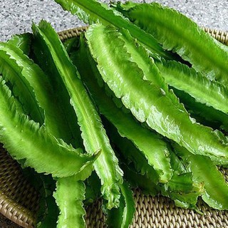 5gr hạt giống đậu rồng/ đậu khế