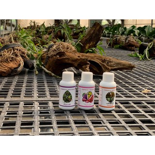 BỘ BA KÍCH MẦM, KÍCH HOA, KÍCH RỄ 100 ML (KHÁCH CHỌN 1 LỌ HOẶC CẢ BA)