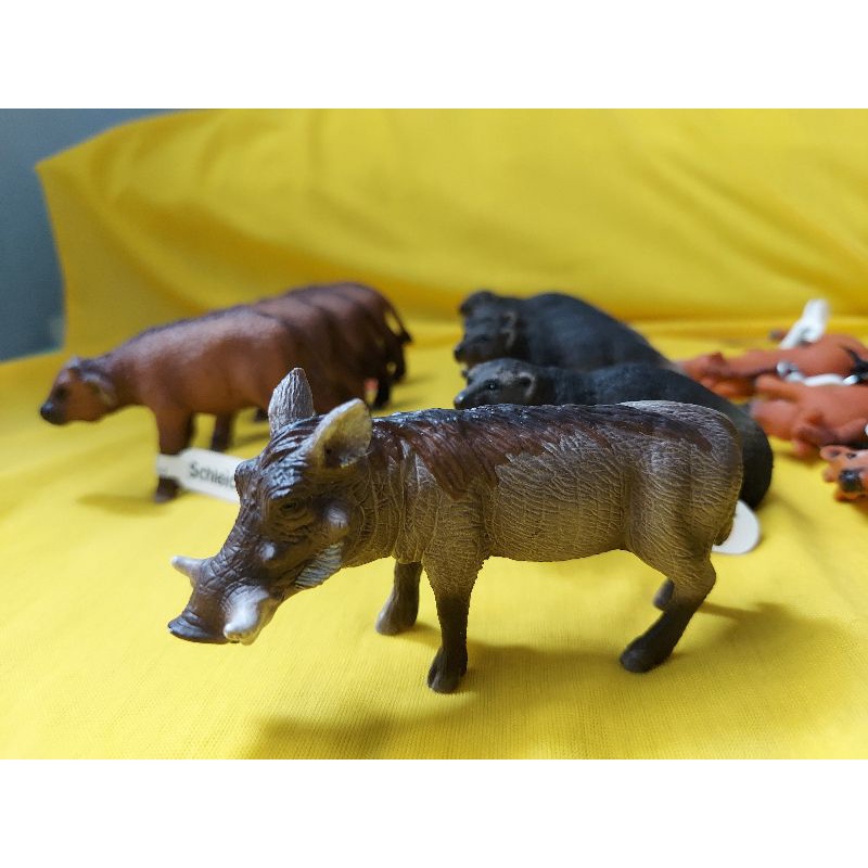 Heo rừng chính hãnh schleich