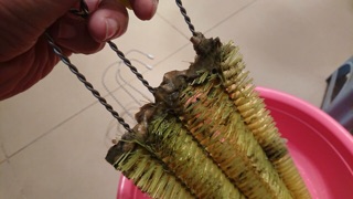Chổi chống ồn bể cá