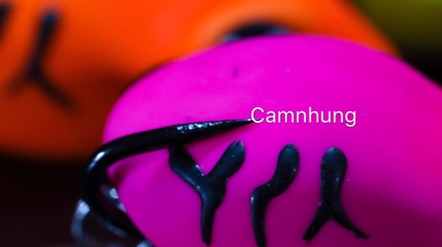 Mồi câu cá Y