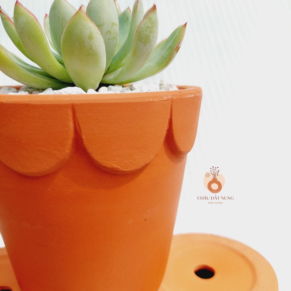 Chậu đất nung, Chậu sen đá - Ly gờ hoa, miệng chậu 12cm, chiều cao 11cm
