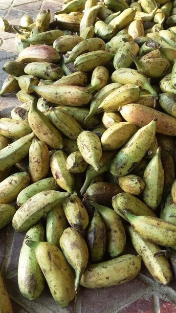 Chuối hột rừng quả chín 1kg - phơi sạch thơm ngon | BigBuy360 - bigbuy360.vn