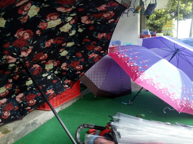 Ô dù màu sắc cán dài