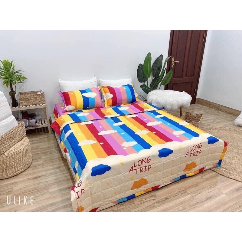 Bộ Chăn Ga Gối 5 Món Chăn HÈ Trần Bông Cotton Poly - 1.6m/1,8m/2,2m Được Chọn Mẫu