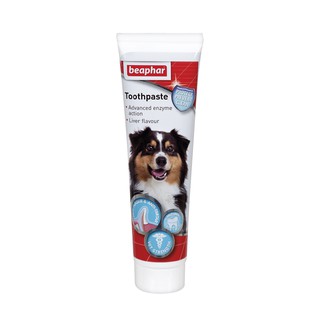 KEM ĐÁNH RĂNG CHÓ MÈO - BEAPHAR TOOTHPASTE DOG/CAT 100GR