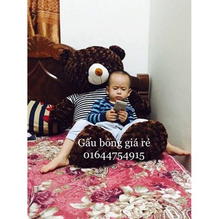 Gấu bông teddy