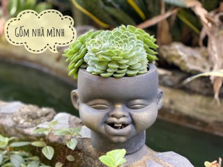 Chậu Tí sún đất nung size trung