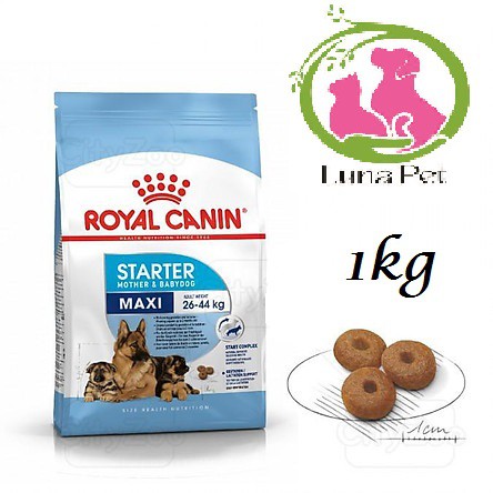 ROYAL CANIN MAXI STARTER MOTHER &amp; BABYDOG 1KG - THỨC ĂN HẠT CHÓ CHÓ MẸ VÀ CHÓ CHO CON KÍCH tHƯỚC LỚN 1KG