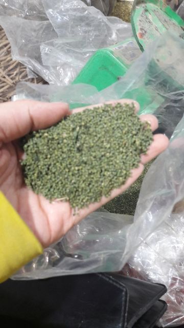 Nụ Tam Thất Bao Tử (1kg)