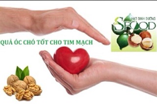 500Gram Hạt Óc Chó Sấy