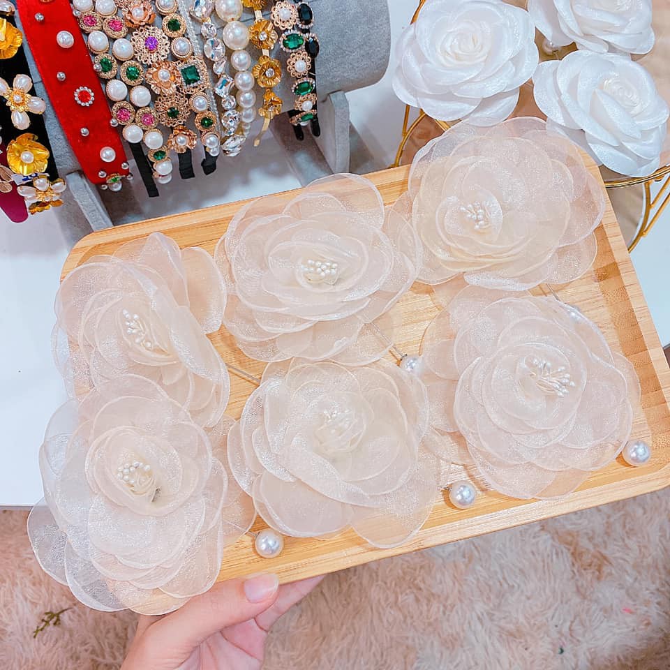 Cài áo siêu đẹp 09 chụp thật | BigBuy360 - bigbuy360.vn