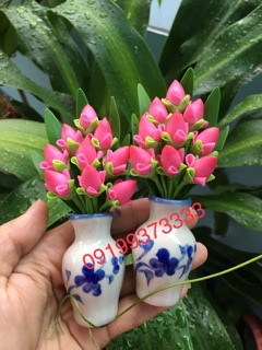 Chậu hoa đất sét cao 13 cm nhiều mẫu( 1 cặp 2 chậu )
