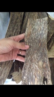 Nụ trầm xứ Huế
