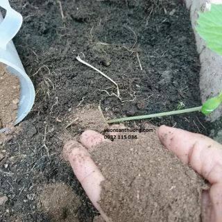 Phân đạm hữu cơ động vật ( 2kg)