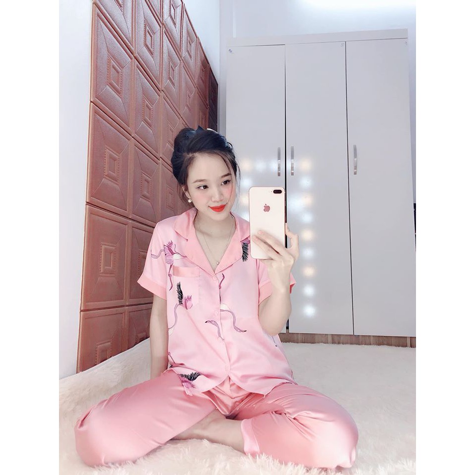 Đồ ngủ
 giá rẻ🔥FREESHIP🔥 Đồ bộ lụa satin Hồng Hạc | BigBuy360 - bigbuy360.vn