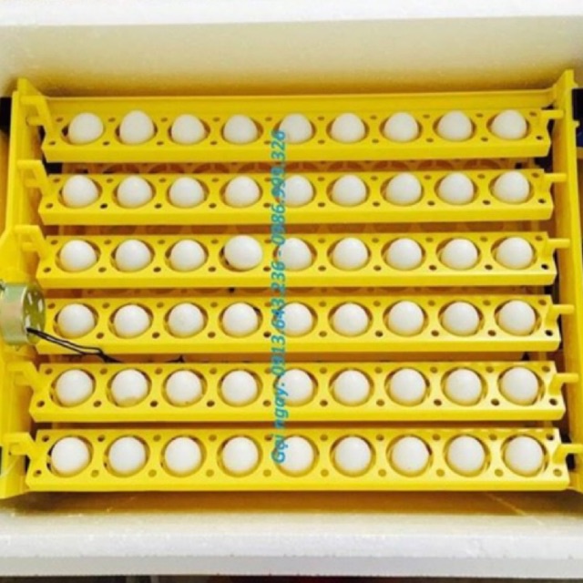Máy ấp trứng Ánh Dương đảo tự động 54 trứng (máy ấp trứng mini p100 Ánh Dương tự lắp thùng xôp)