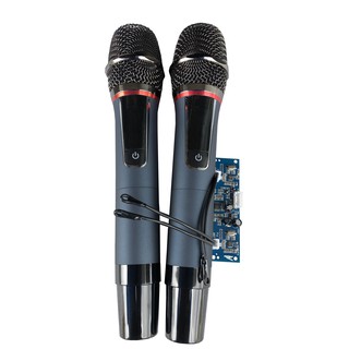 Bộ 2 micro kèm bore w-750 sử dụng cho loa kéo