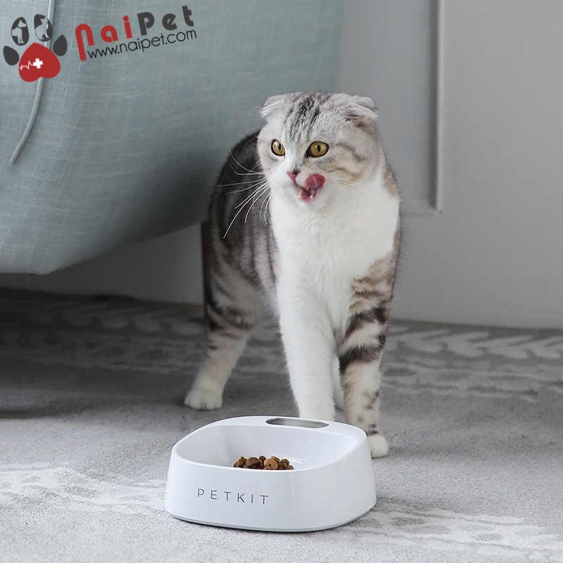 Bát Ăn Uống Kèm Cân Điện Tử Fresh Smart Antibacterial Bowl Petkit