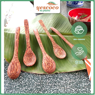Thìa gỗ dừa-phụ kiện món ăn đẹp yescoco xưởng sx