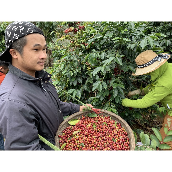Cà Phê Nguyên Chất. Cafe Hạt Pha Phin, Pha Máy, Đắng Diệu, Thơm Nhẹ Quyến Rũ. NguyenPhu Coffee & Roastery | BigBuy360 - bigbuy360.vn