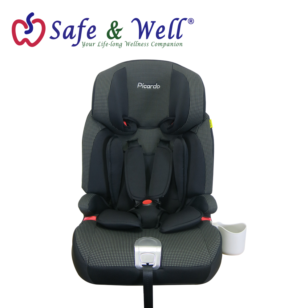 PICARDO MALTON CAR SEAT