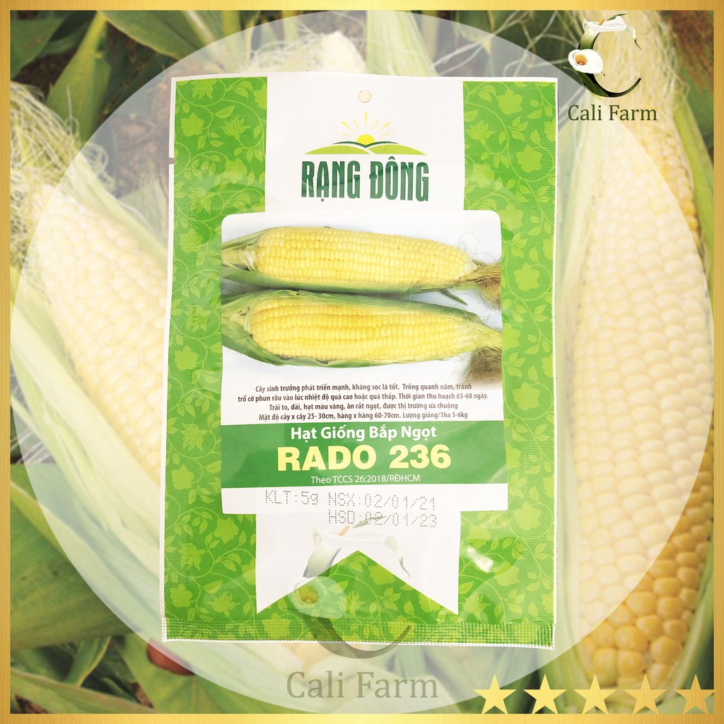 Hạt giống Bắp (Ngô) Ngọt Mỹ Rado 236 Ngon Ngọt, Dễ Trồng 5gr
