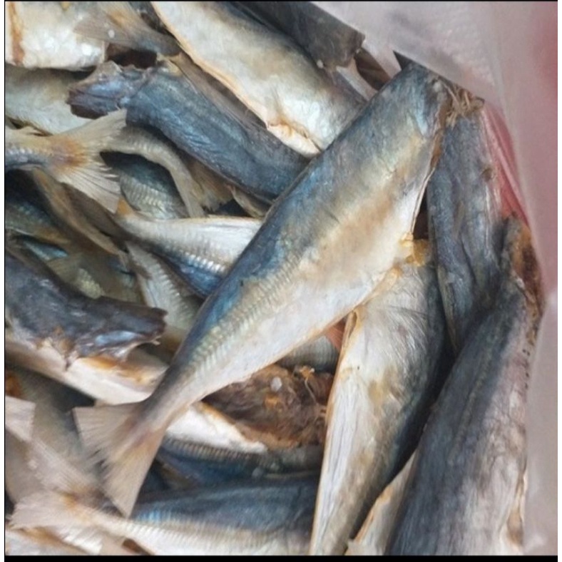 cá nục khô sốt cà chua đà nẵng siêu ngon siêu rẻ mùa dịch 500gr | BigBuy360 - bigbuy360.vn