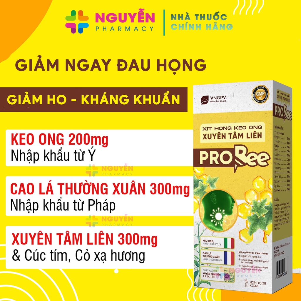 Siro Ho Bổ Phế BẢO THANH - Hoá Đờm Hiệu Quả 125Ml