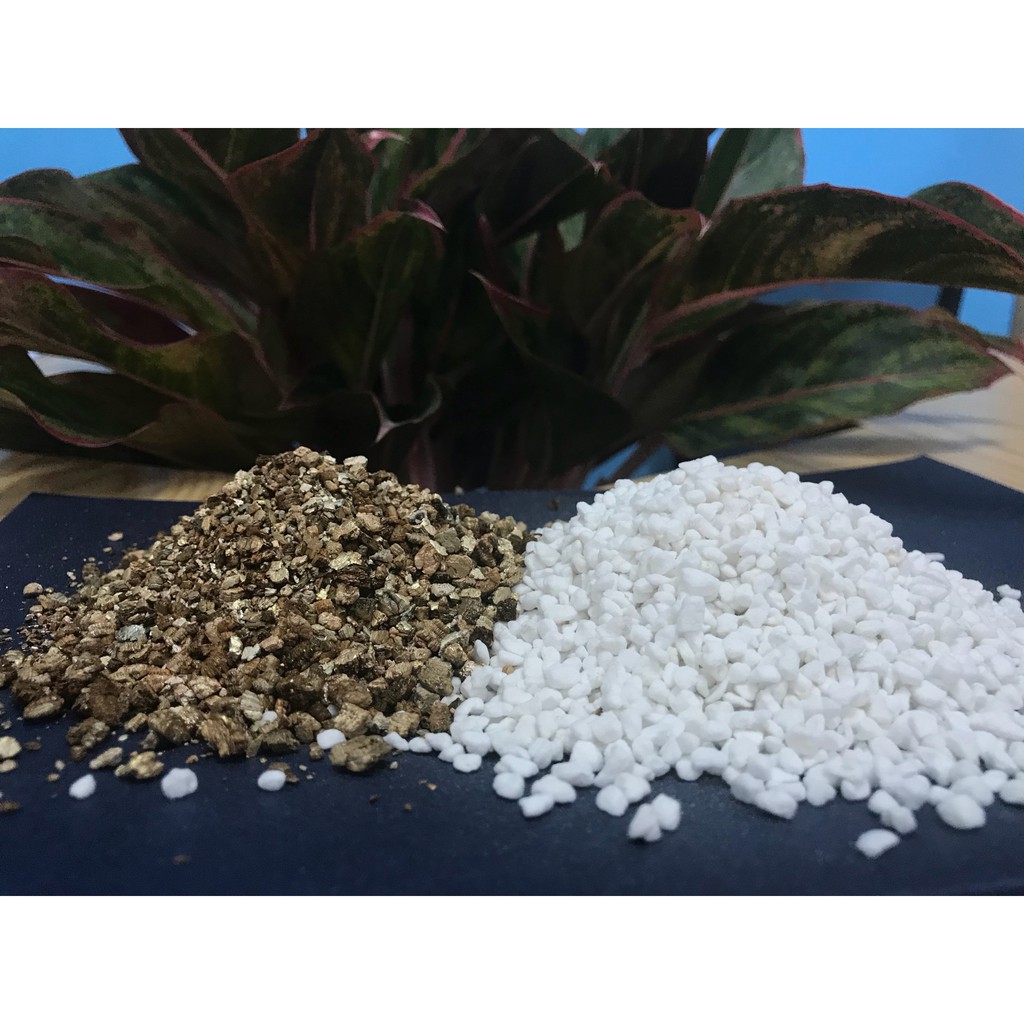 Bộ sản phẩm đá Perlite và Vermiculite
