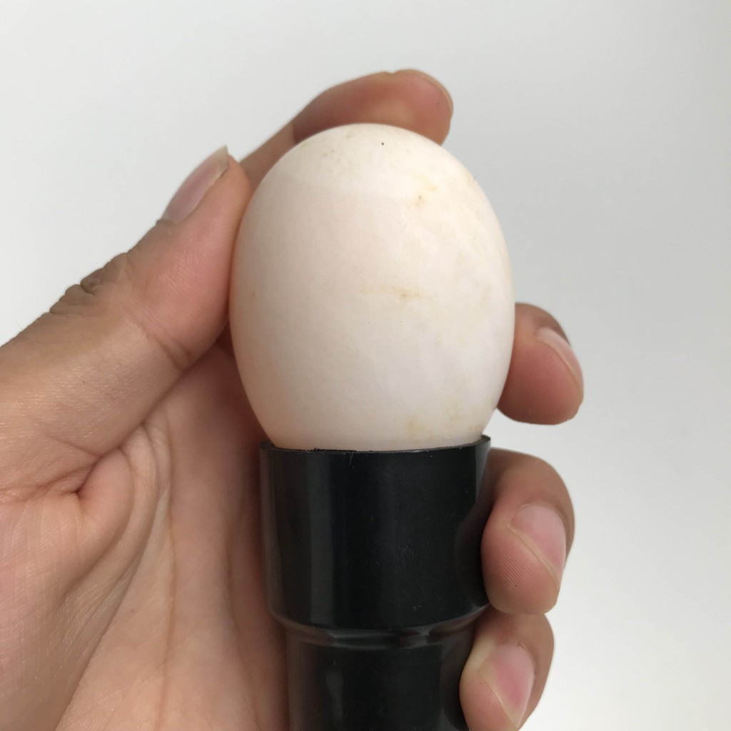 Máy Ấp Trứng Gà Mini Ánh Dương P100 kèm đèn soi - Ấp tối đa 100 trứng Gà, 200 trứng Cút - Máy đảo tay, tự lắp thùng xốp