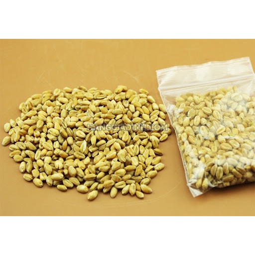 Hạt giống cỏ lúa mì Úc không chất bảo quản giá rẻ sỉ lẻ số lượng lớn túi 1kg
