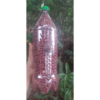 lạc đỏ rang sẵn đóng chai 1kg