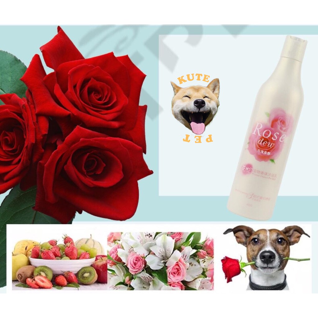 Sữa tắm nước hoa joyce &amp; doll cho chó mèo 400ml