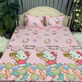 Ga gối cotton Trần chun